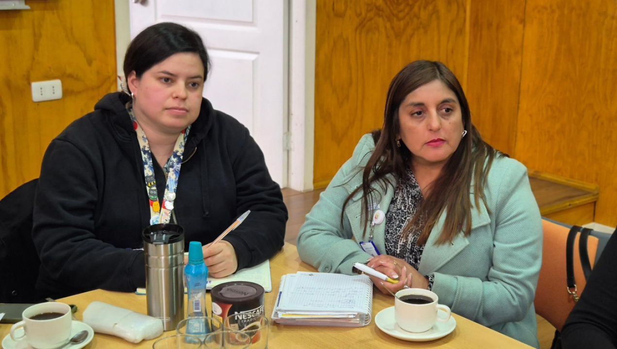 /fortalece-trabajo-colaborativo-subred-lebu-los-alamos