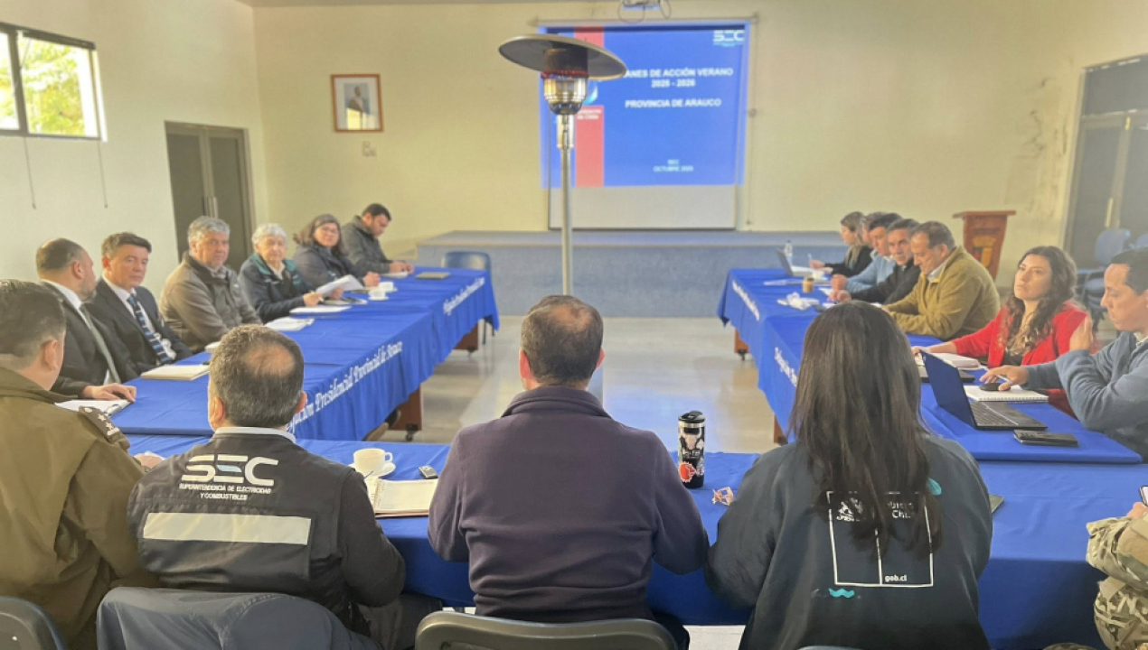 /sector-publico-y-privado-se-coordinan-para-enfrentar-la-temporada-estival