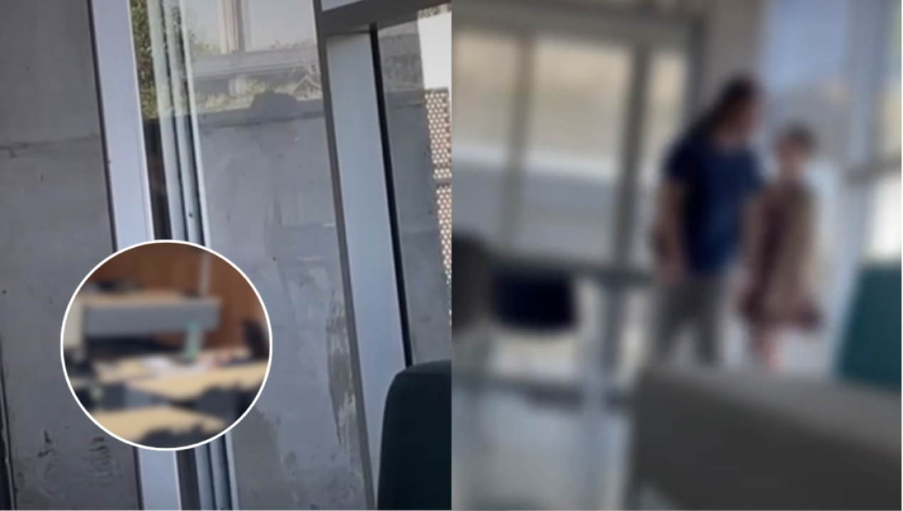 /actualidad/universitarios-de-la-uc-fueron-grabados-manteniendo-relaciones-dentro-del