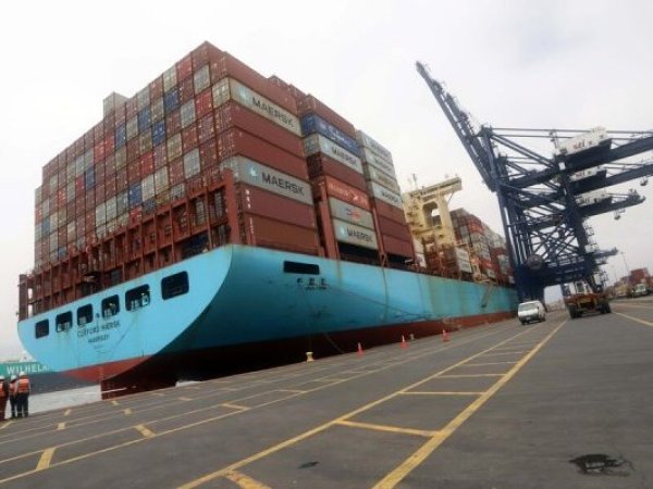 Cerezas chilenas enfrentan nueva temporada compleja: envíos llegaron antes del Año Nuevo Chino