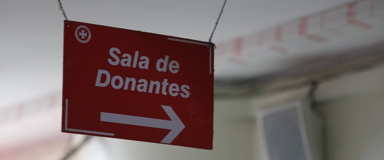 Semana del Donante de Sangre: Chile busca aumentar la donación voluntaria