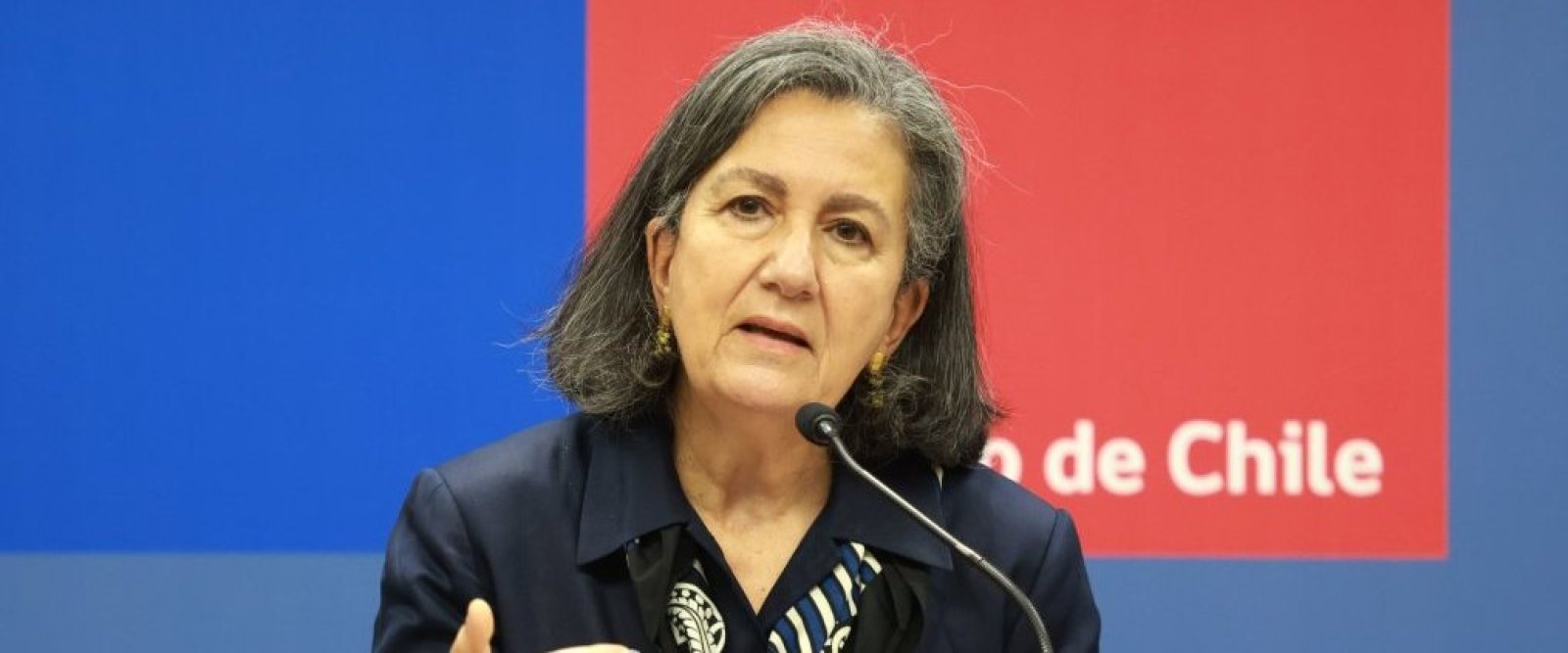 Ley Sanna sumará permiso laboral para acompañar a menores tras hospitalización por intento de suicidio
